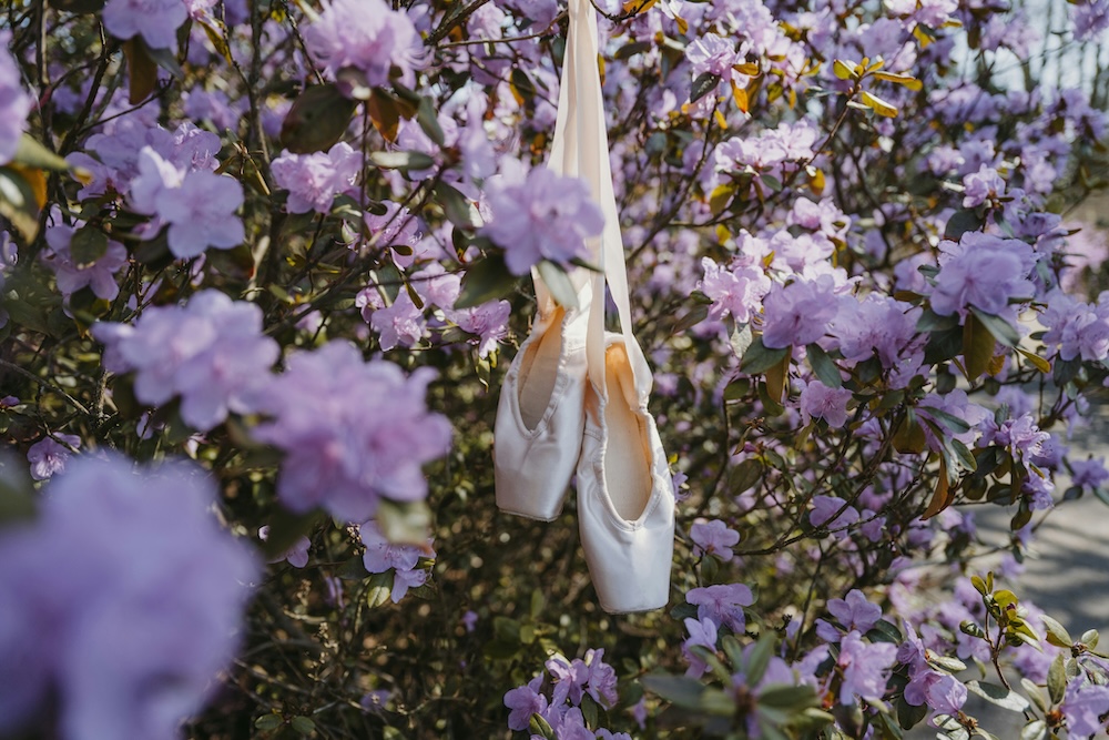 Dance Journey Year Eight: Dancing en Pointe