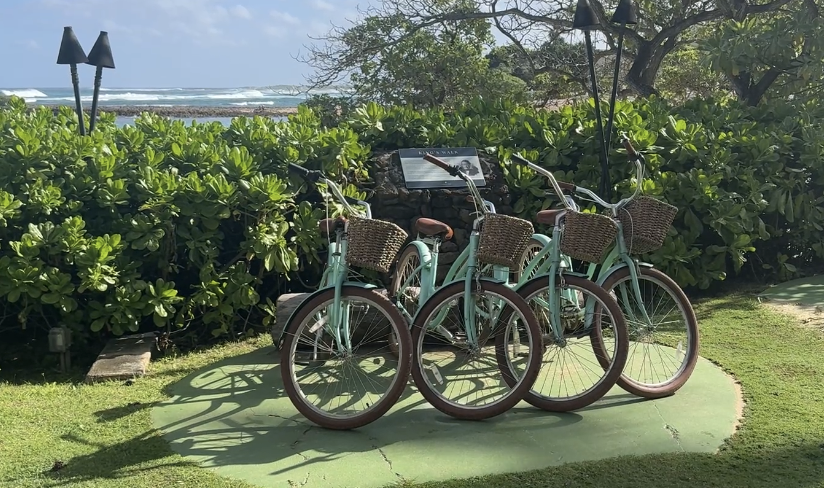 Ritz-Carlton Turtle Bay